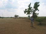 9389gt072a-rangelands-scattered-crops.gif