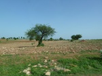 19337P1010183.JPG
