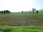 19365P1010211.JPG