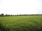15679IMG_4755.JPG
