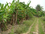 9202DSC01204.JPG