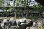 229IMG_4125.JPG