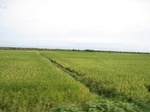 14293IMG_4633.JPG