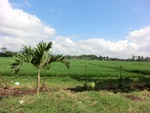 31068CIMG0930.JPG