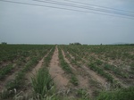 34458IMG_5441.JPG