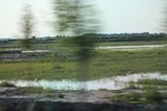 2024-08-05_14-25-27_89059859-014B-47B8-AD3B-59D1442218C7.jpeg