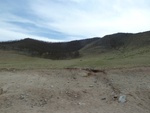 22552P1010719.JPG