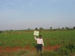 9308gt033a-cropland-rainfed-mixed-crops.gif
