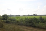 2024-10-10_17-12-19_4ED8F07F-E755-4F9B-8A85-266DB0D72AED.jpeg