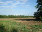 32559p210.jpg