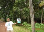 6352074a-home-garden-mixed-plantation-agricultural-crops-houses-coconut-mango-kasava-jackfruit-castrol.jpg