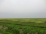 51596CIMG0187-neuclear zone3.JPG