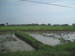 34468IMG_5451.JPG