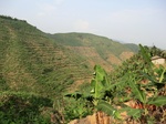 53494CIMG6831.JPG