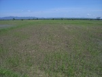 33577RIMG0242.JPG