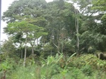 49589CIMG5926.JPG