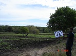 10681gt-102-wetland-valley-bottom-01.jpg