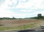 34885DSC01785.JPG
