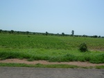 19516P1010363.JPG