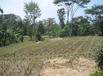 15253IMG_4075.JPG