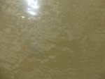 58295CIMG2742.JPG