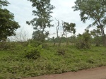 18395P1000231.JPG