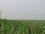 33116CIMG2351.JPG