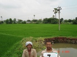 12374007c-irrigated-canal-nagarjunsagar-rice-dominant.gif