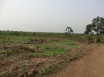 50420CIMG1049.JPG