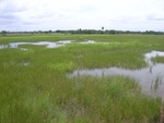 33372RIMG0112.JPG