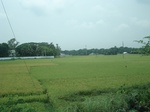 21771DSC08346.JPG