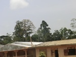 49306CIMG5643.JPG