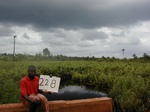12331GT228_Fern_wetland.JPG