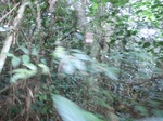 48019CIMG4356.JPG