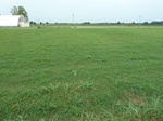 36112P1050187.JPG