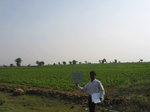 9310gt034a-cropland-rainfed-mixed-crops.gif
