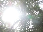 48518CIMG4855.JPG