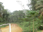 47693CIMG4030.JPG