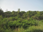 34404IMG_5320.JPG