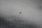 369IMG_3478.JPG