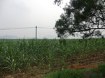 33090CIMG2325.JPG