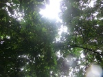 45630CIMG2715.JPG