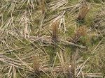 8444IMG_0269.JPG
