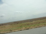 35423DSC02935.JPG