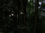 1707611052008(84).JPG