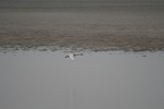 4146IMG_8783.JPG