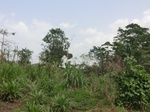 49705CIMG6042.JPG