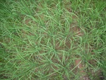 26240RIMG0207.JPG