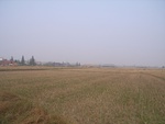 4616RIMG0050.JPG