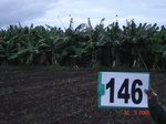 125400146e-irrigated-supplemental-groundwater-plantation-banana-dominant-sapota-millet.gif